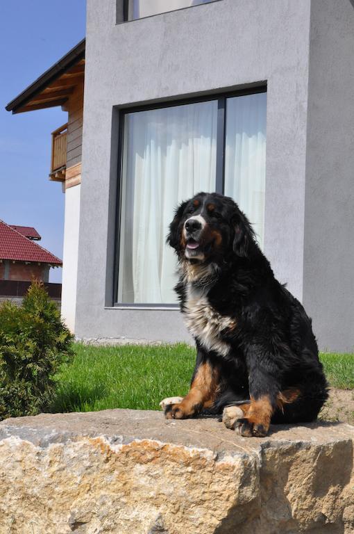 Villa Swiss Négyfalu Kültér fotó