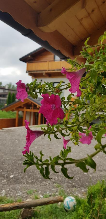 Villa Swiss Négyfalu Kültér fotó