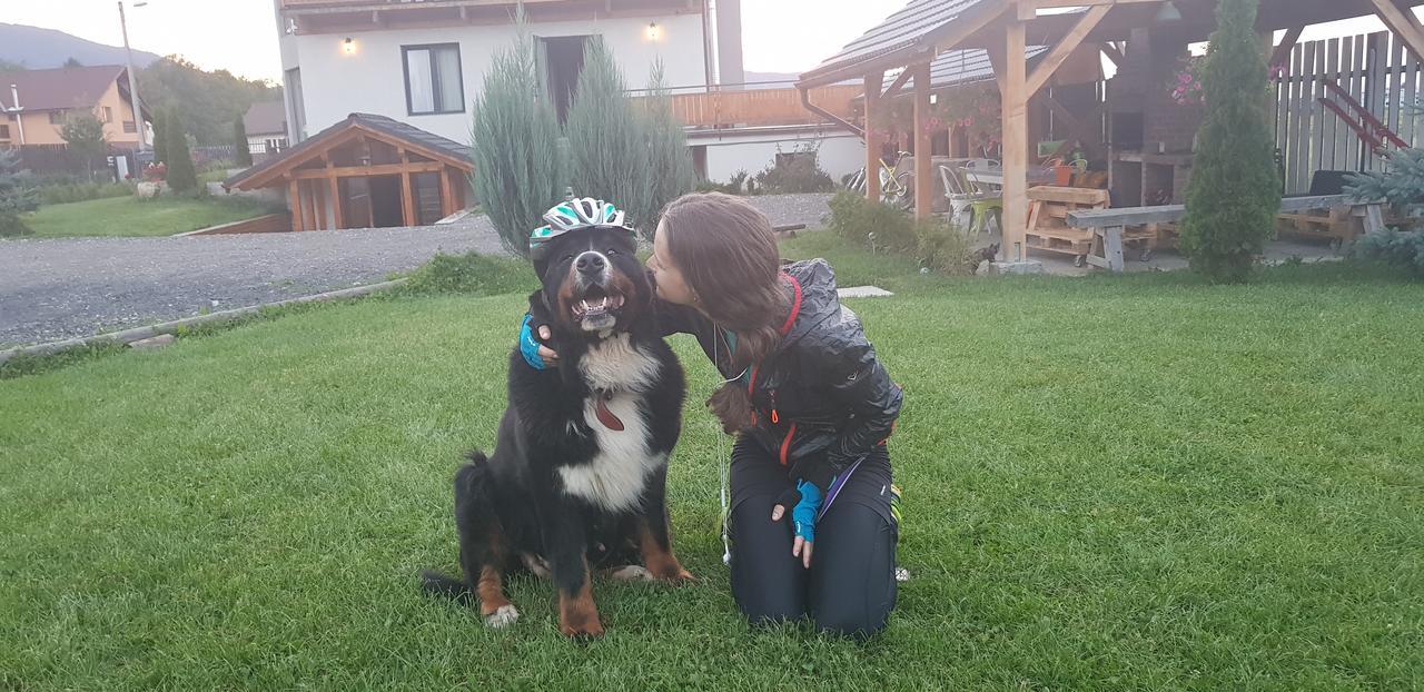 Villa Swiss Négyfalu Kültér fotó