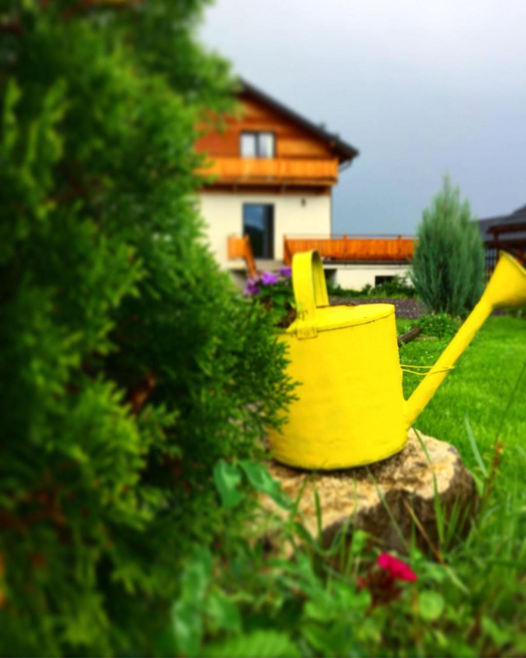 Villa Swiss Négyfalu Kültér fotó