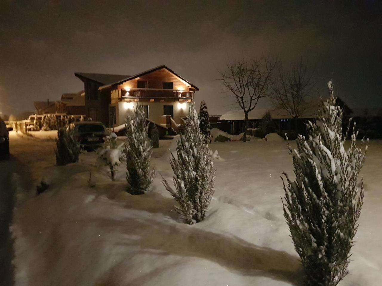 Villa Swiss Négyfalu Kültér fotó
